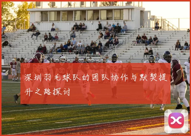深圳羽毛球队的团队协作与默契提升之路探讨