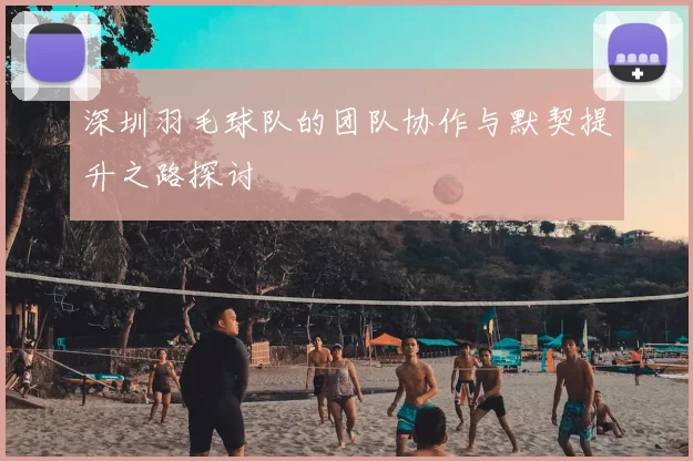 深圳羽毛球队的团队协作与默契提升之路探讨