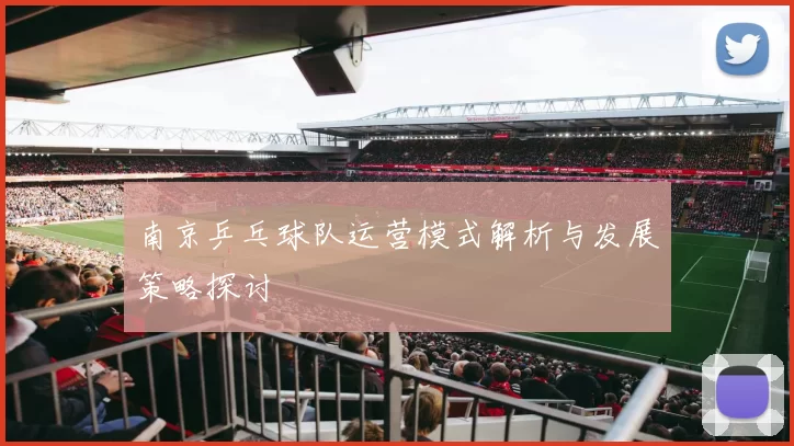 南京乒乓球队运营模式解析与发展策略探讨