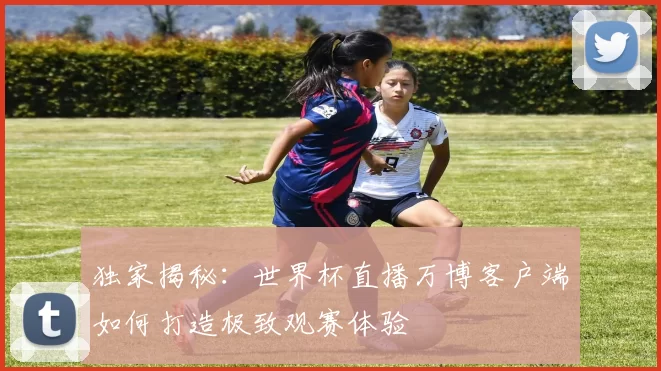 独家揭秘：世界杯直播万博客户端如何打造极致观赛体验