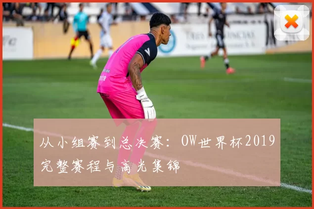 从小组赛到总决赛：OW世界杯2019完整赛程与高光集锦