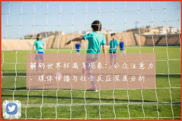 解码世界杯漏鸟现象：公众注意力、媒体传播与社会反应深度分析
