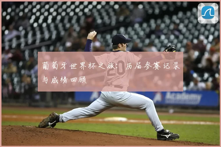 葡萄牙世界杯之旅：历届参赛记录与成绩回顾